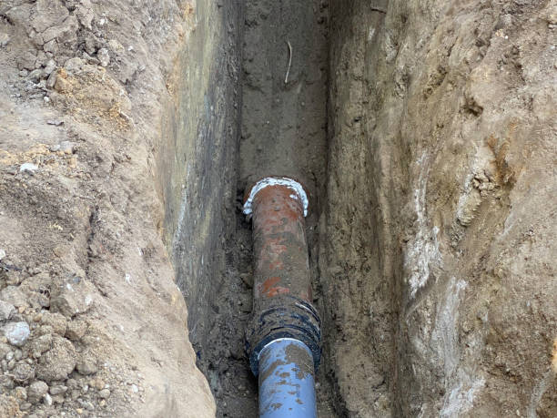 Best Professional water damage repair  in North Vernon, IN