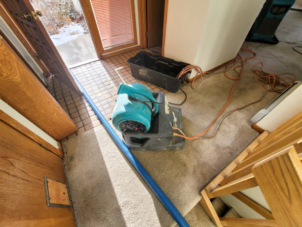 Best Commercial water damage restoration  in North Vernon, IN