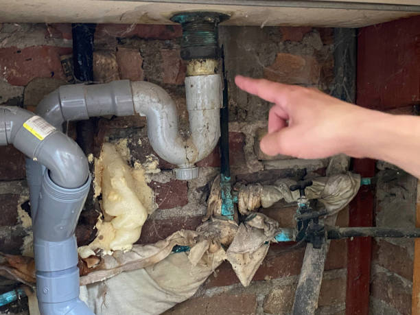 Best Water damage restoration mold remediation  in North Vernon, IN